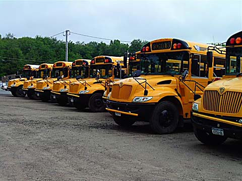 RollingV Bus Fleet.